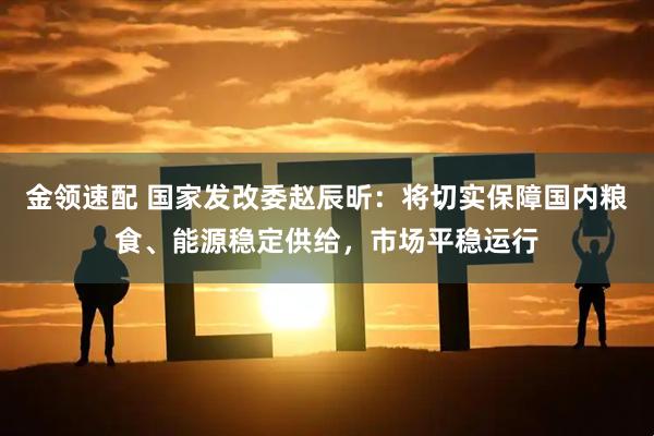 金领速配 国家发改委赵辰昕：将切实保障国内粮食、能源稳定供给，市场平稳运行